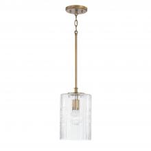 Capital 341311AD - 1 Light Pendant