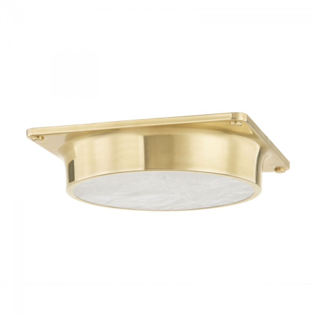 1 LIGHT FLUSH MOUNT