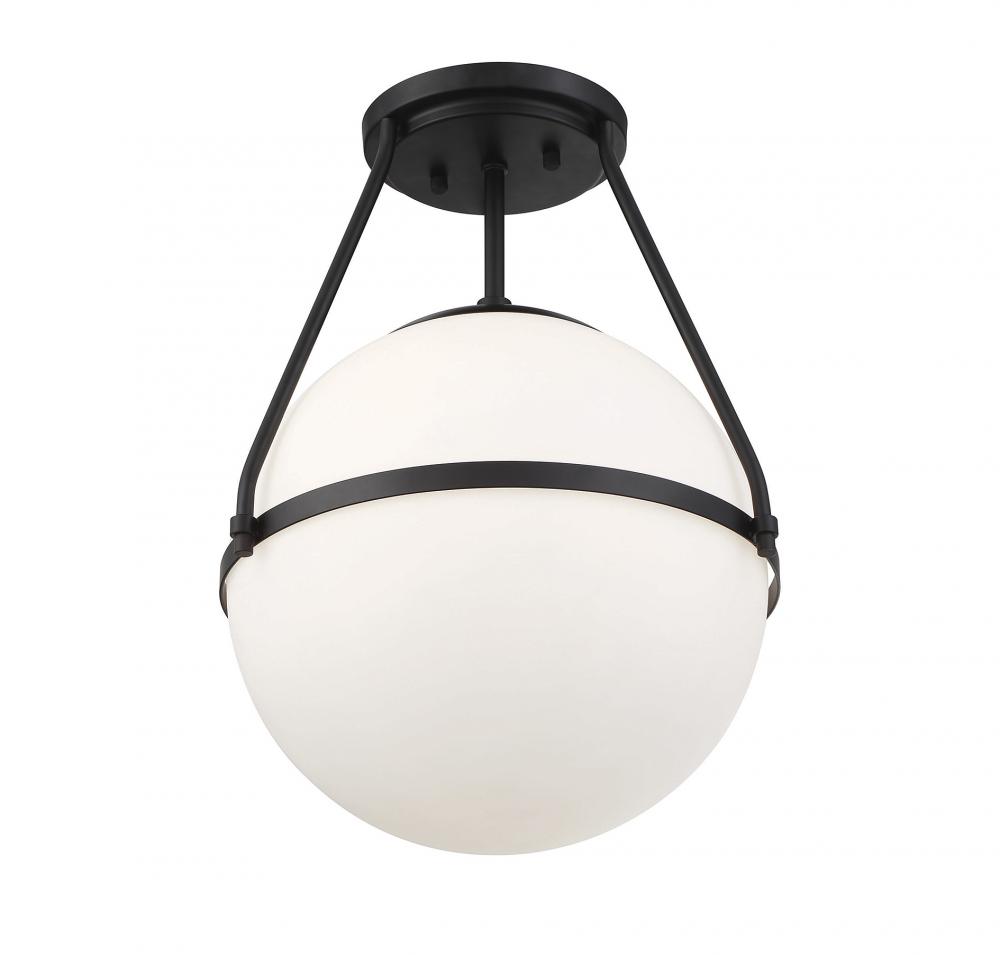 1-Light Ceiling Light in Matte Black