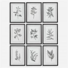 Uttermost 41617 - Farmhouse Florals Framed Prints, S/9