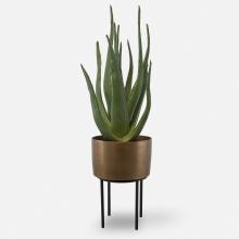 Uttermost 60217 - Arabia Aloe Planter